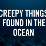 Creepy Things Found In The Ocean